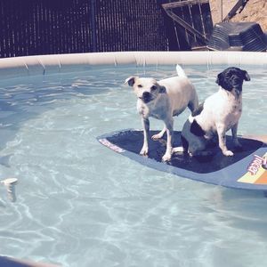 Meet your Posher, Connie